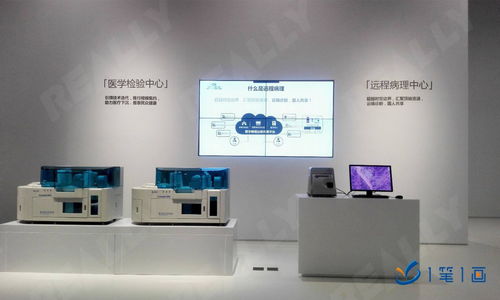 vr互动主题教育基地装修装饰公司,智慧数字体验馆软件定制开发